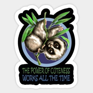 Cute Loris Sticker